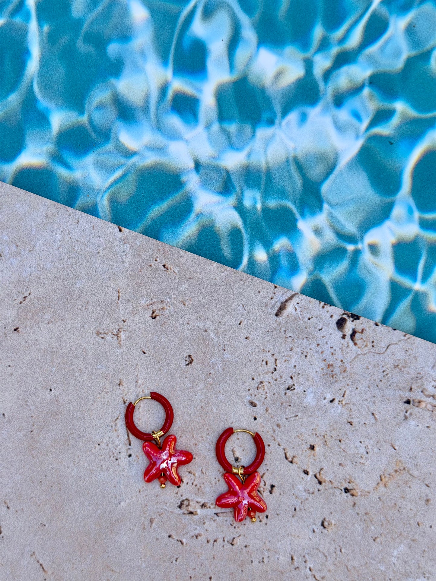 BO étoiles de mer ⭐️