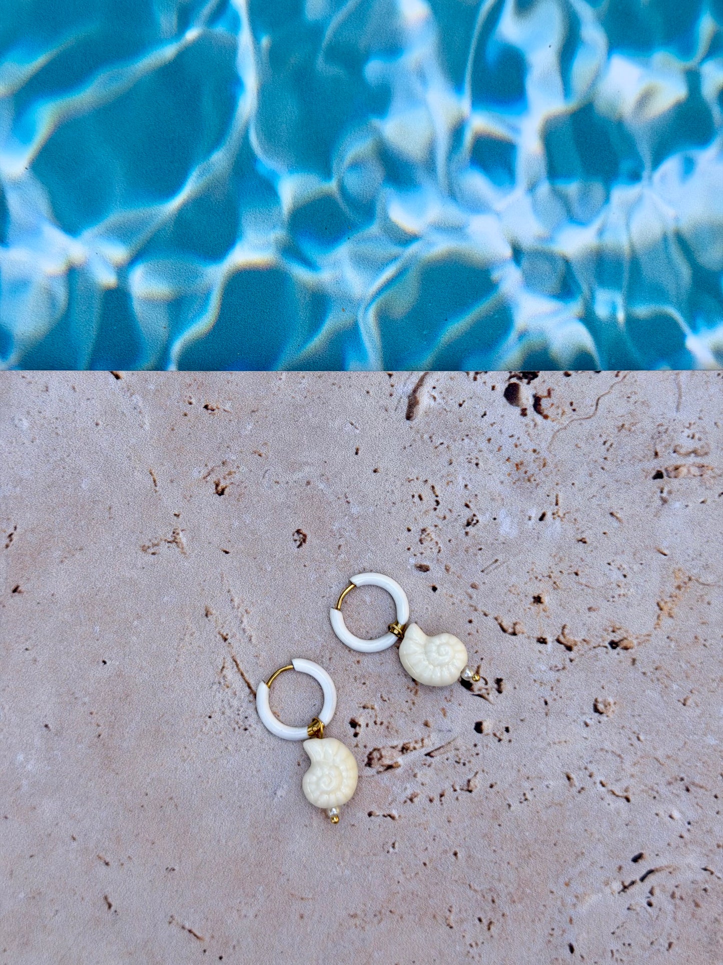 BO coquillages 🐚