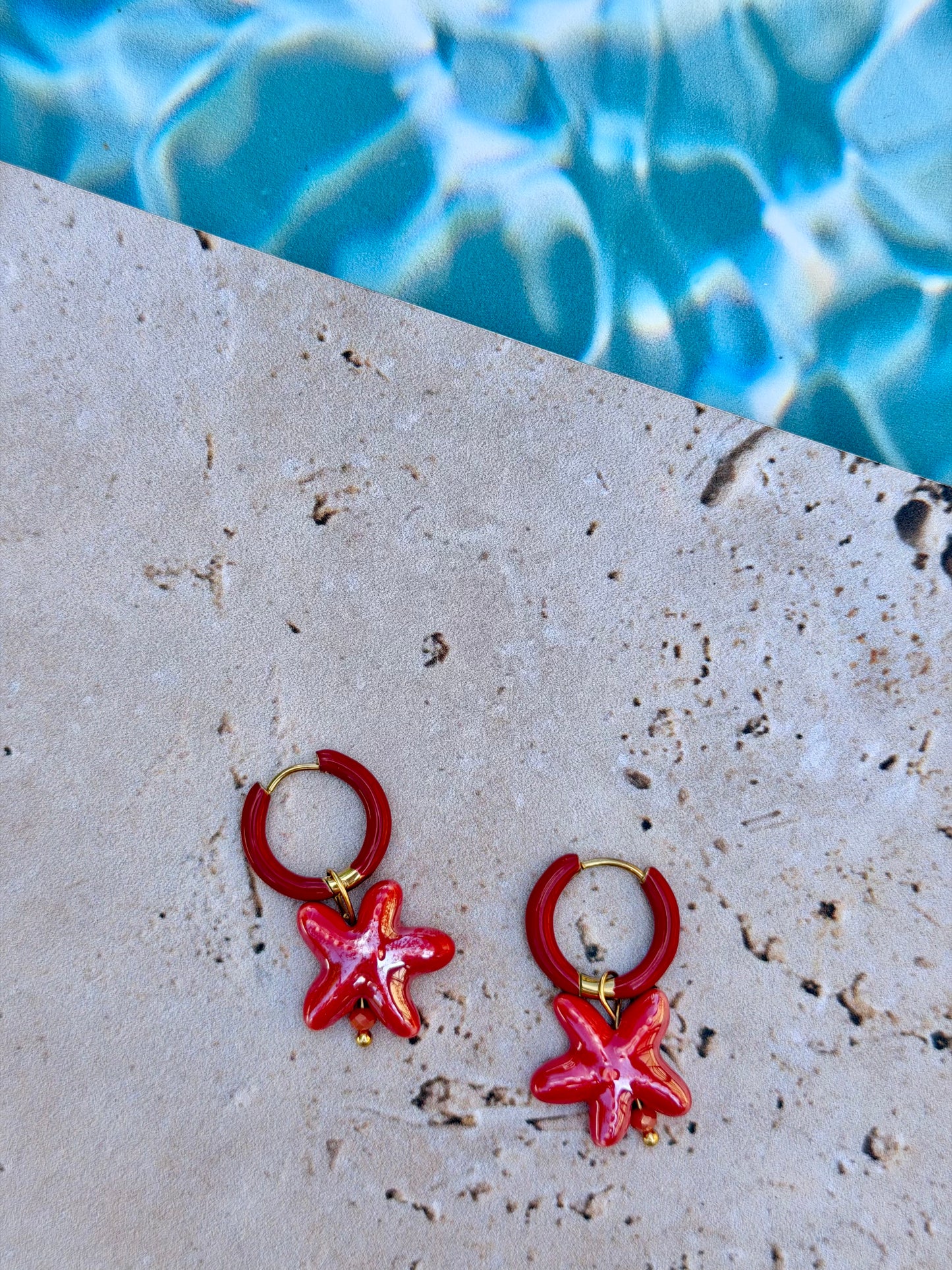 BO étoiles de mer ⭐️