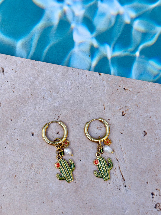 BO Cactus 🌵