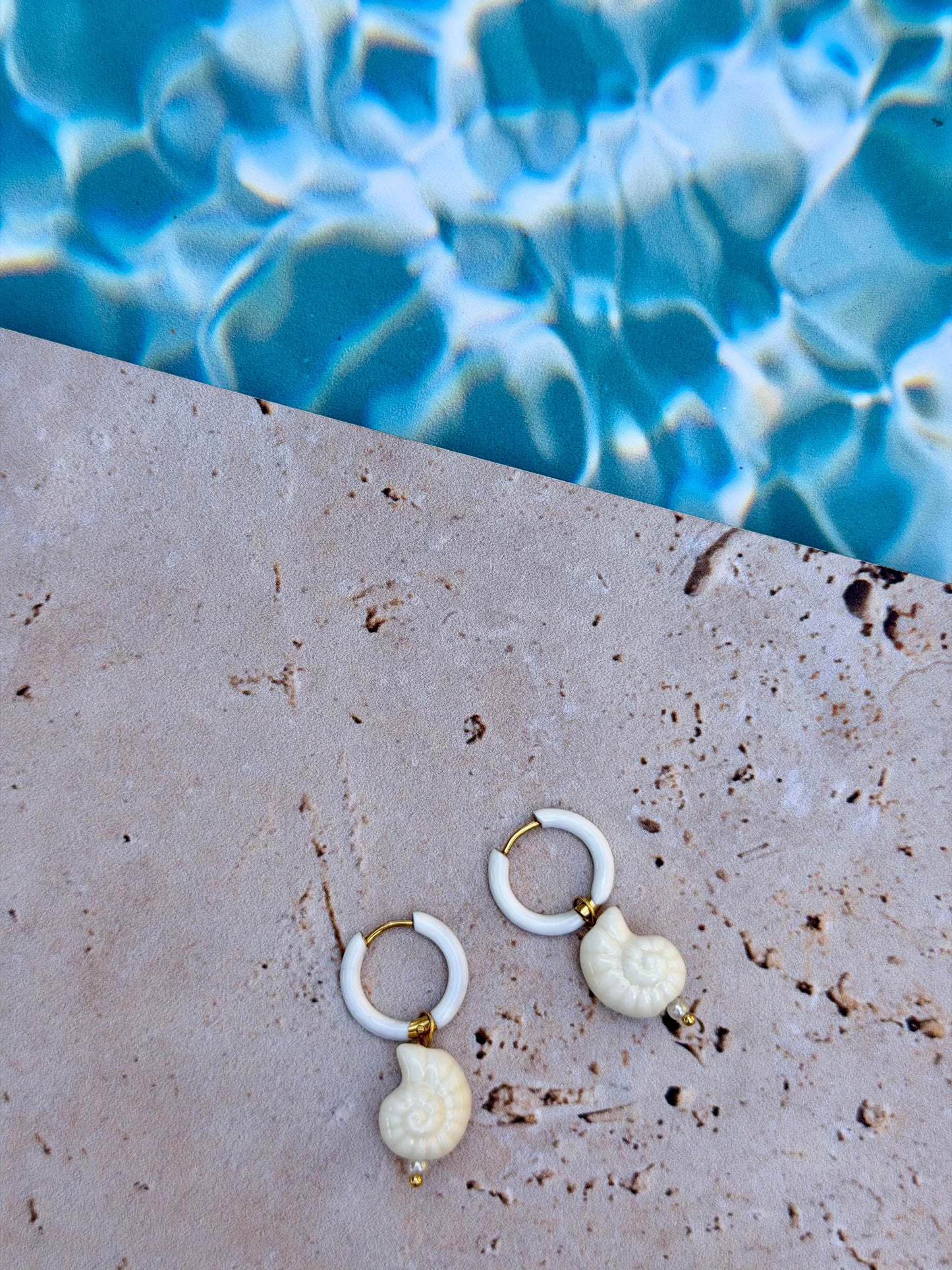 BO coquillages 🐚