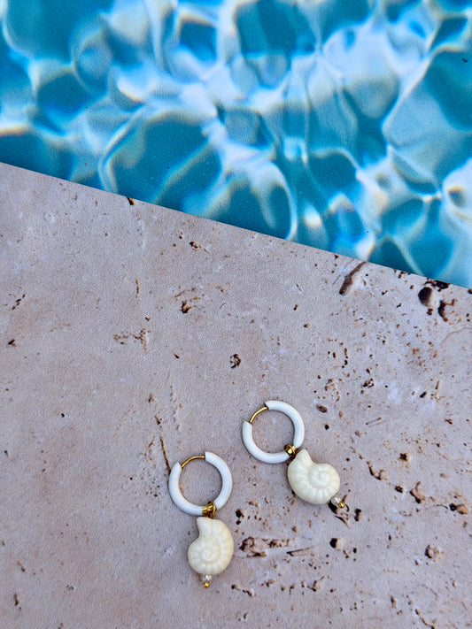 BO coquillages 🐚